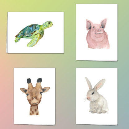 Animal Card Set