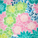 Bright Succulents