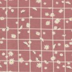 Daisies on Window Pane