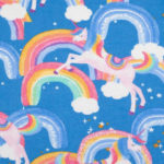 Rainbow & Unicorn